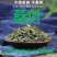 无硫干桑叶茶大货批发产地直发质量保证价格实惠