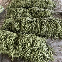 精品无丝豆产地直供一条龙服务