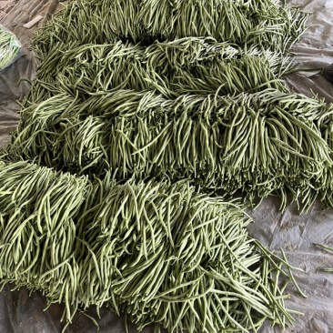 精品无丝豆产地直供一条龙服务
