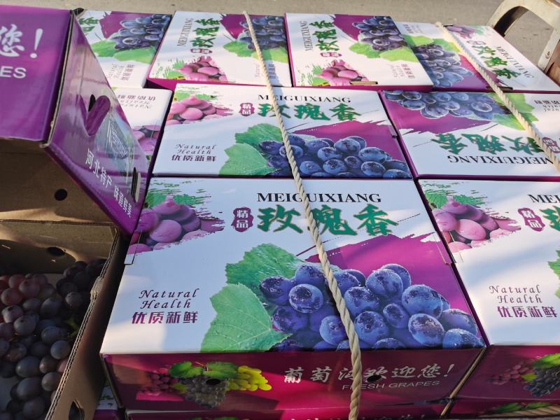 河北昌黎葡萄玫瑰香无核富硒精品（温室大棚葡萄）