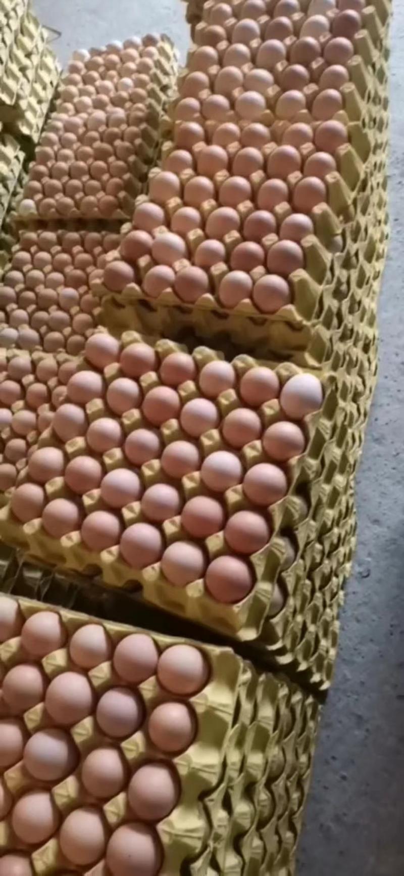 自家养殖场一大量土鸡蛋，量大从优，一手货源，