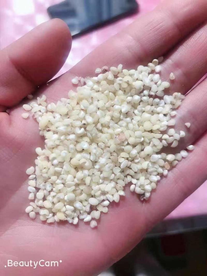 高粱米碎米子