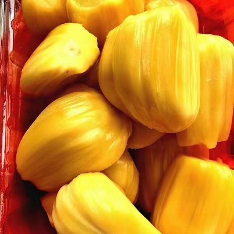 海南菠萝蜜大量上市，产地直销，一手货源，可以实地考察