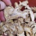 当归片甘肃岷县地产中药材一手货源批发过筛有硫大统货