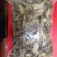 当归片甘肃岷县地产中药材一手货源批发过筛有硫大统货