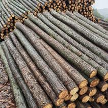 桩木打桩木杉木撑杆房梁各种规格尺寸齐全