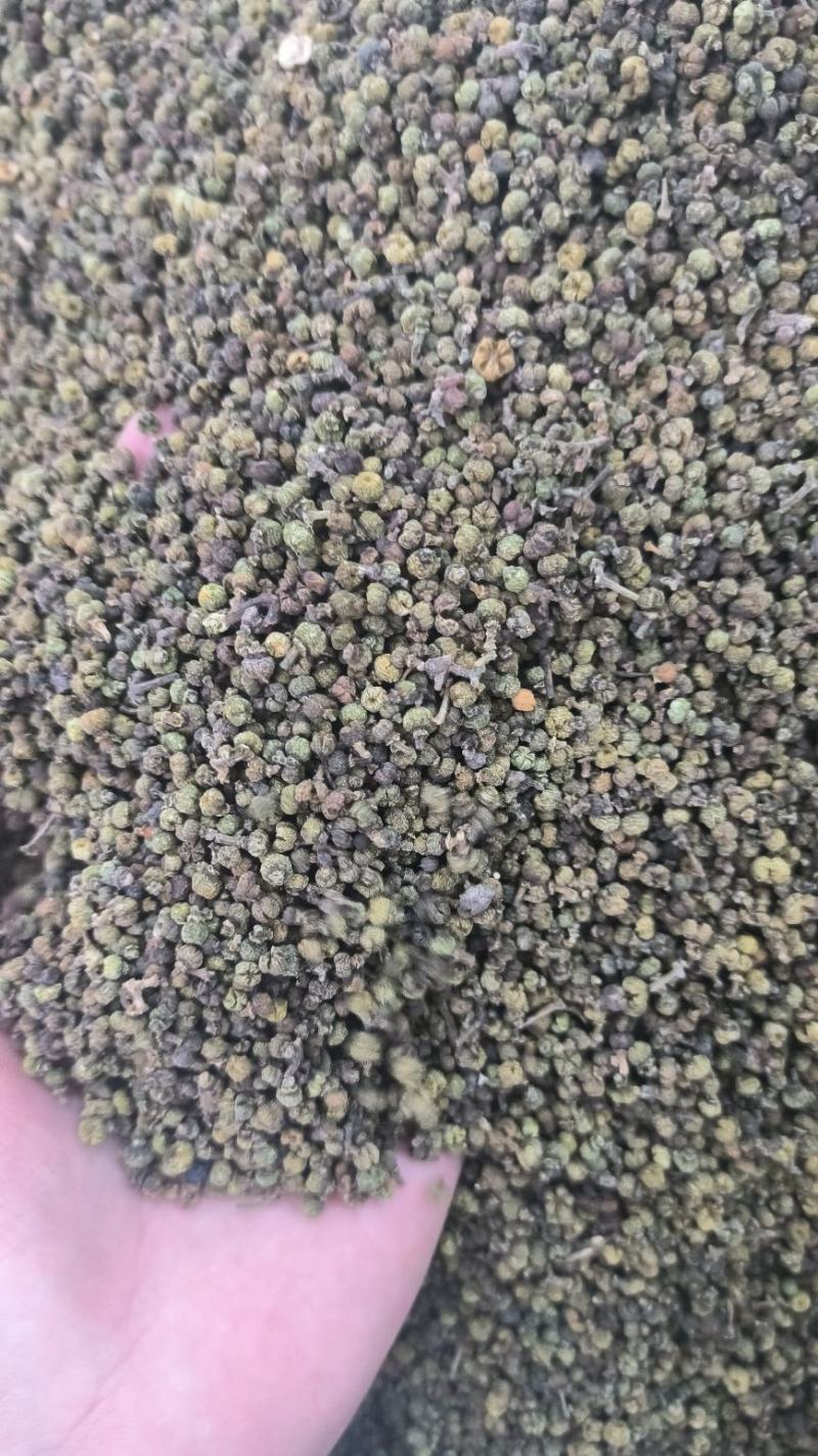 吴茱萸可打吴茱萸粉中华吴茱萸青色优质花地道中药材