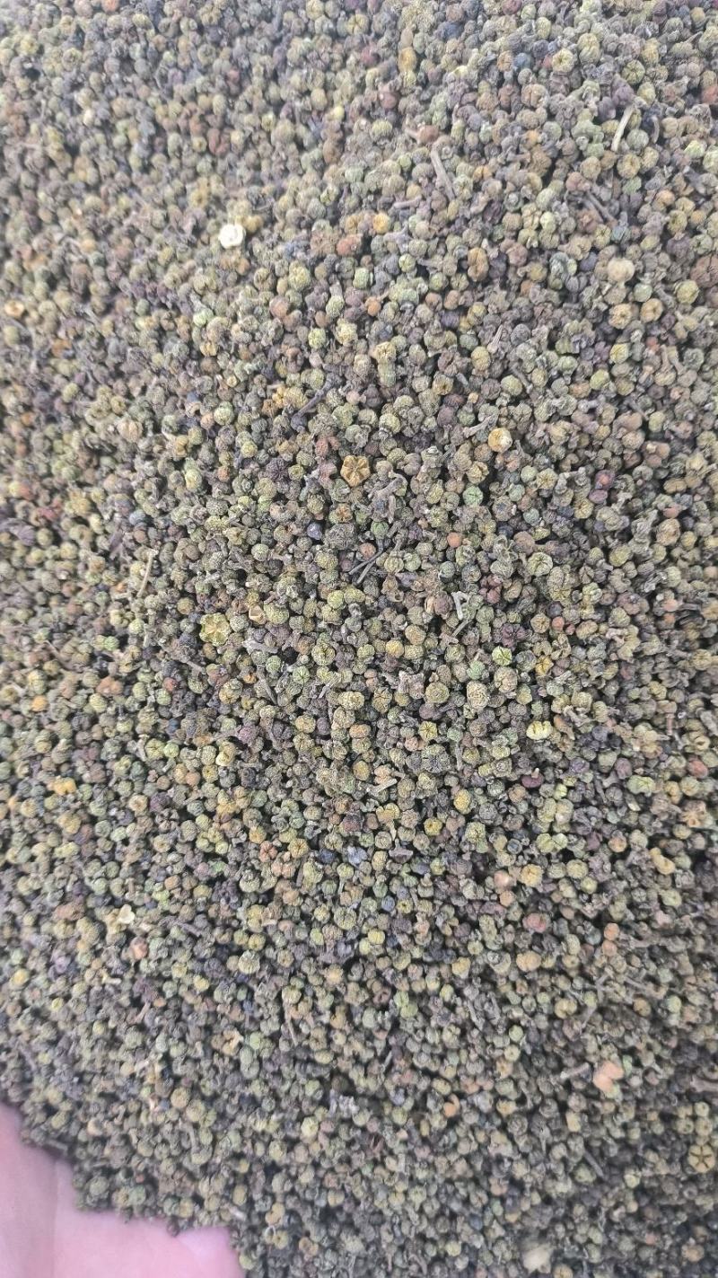 吴茱萸可打吴茱萸粉中华吴茱萸青色优质花地道中药材