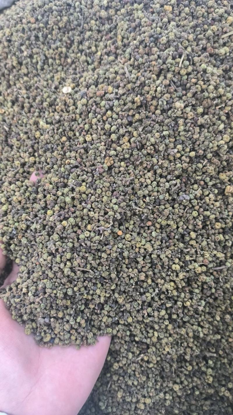 吴茱萸可打吴茱萸粉中华吴茱萸青色优质花地道中药材