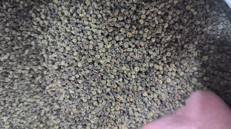 吴茱萸可打吴茱萸粉中华吴茱萸青色优质花地道中药材