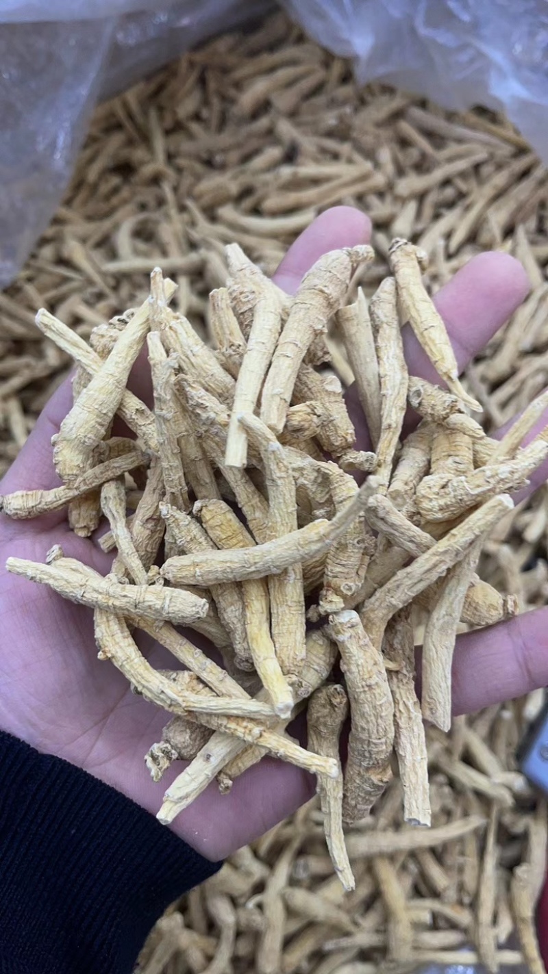加拿大进口三西洋参条参味浓平均3.3克一条标准