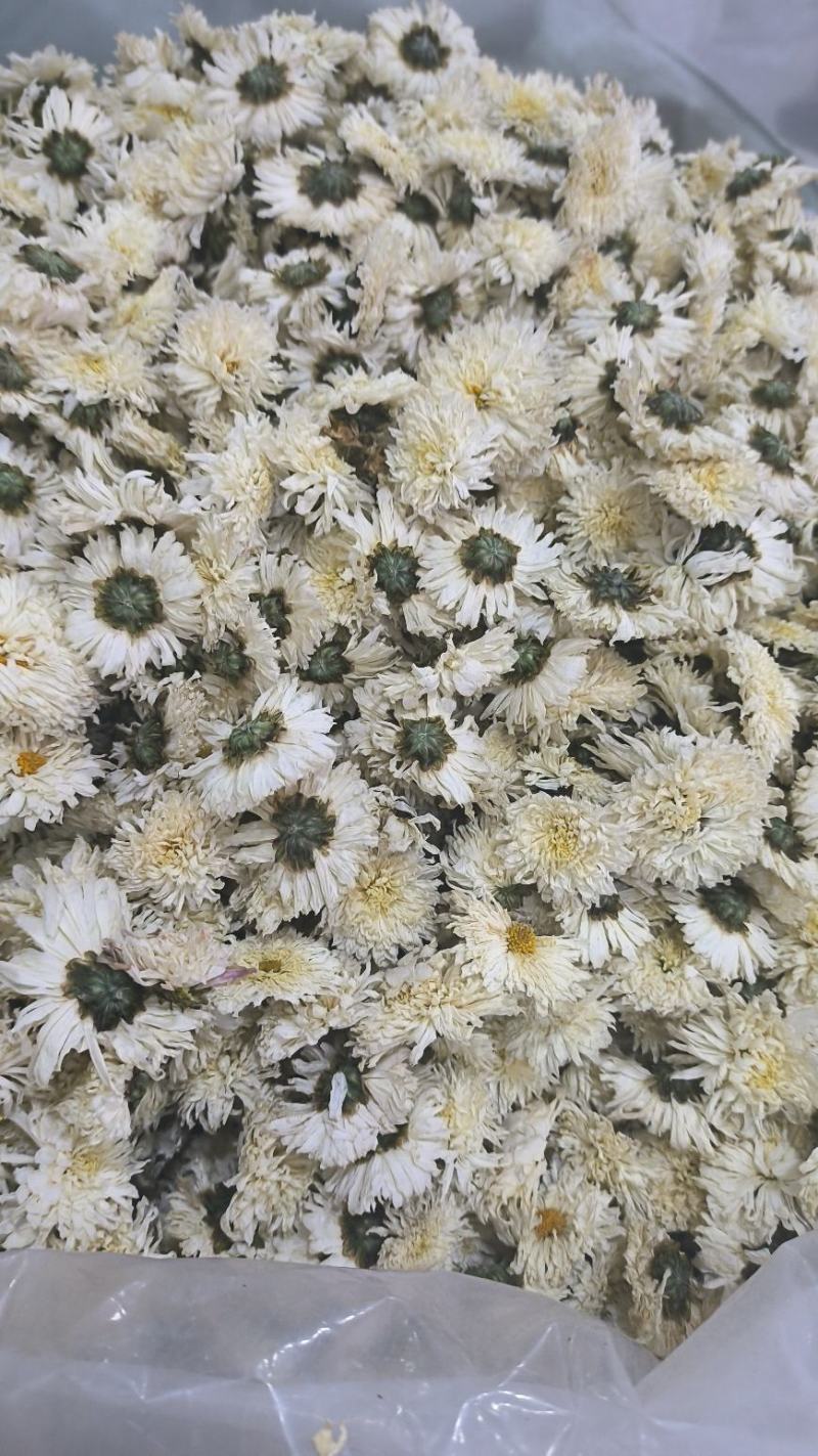 菊花白菊花泡水泡茶散装无硫七月菊无硫产地直发