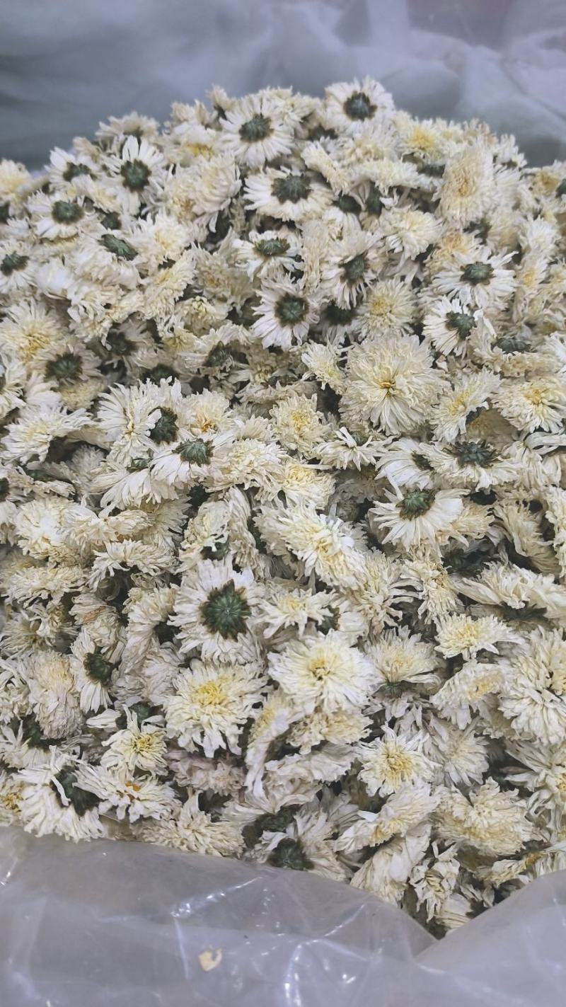 菊花白菊花泡水泡茶散装无硫七月菊无硫产地直发