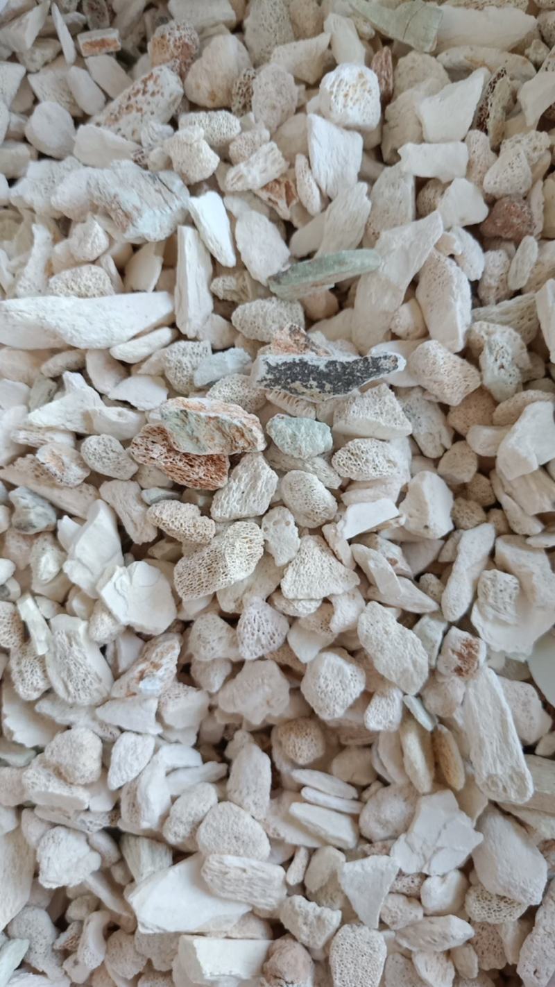 龙骨水洗龙骨批发零售各种规格中药材龙骨欢迎选购