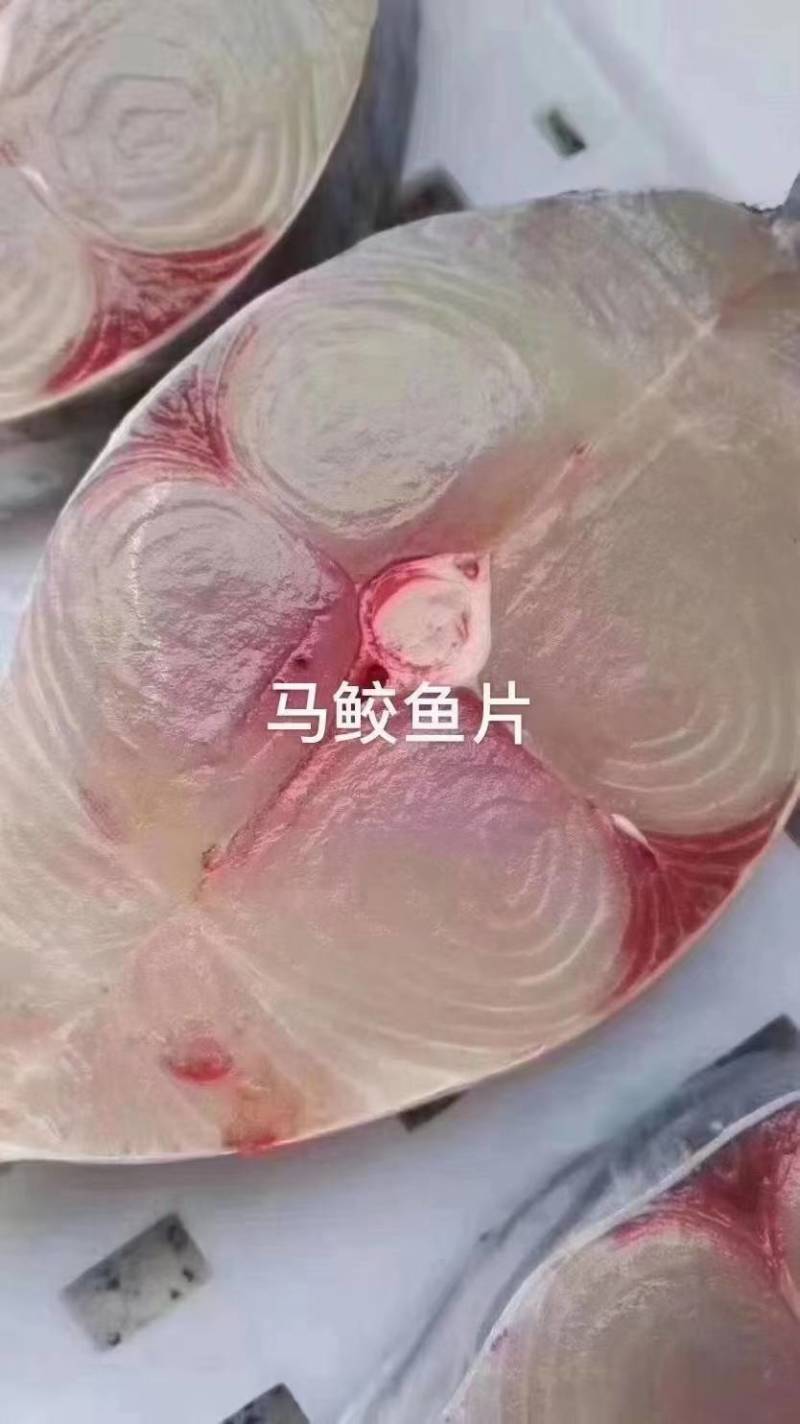 湛江一夜埕马鲛鱼