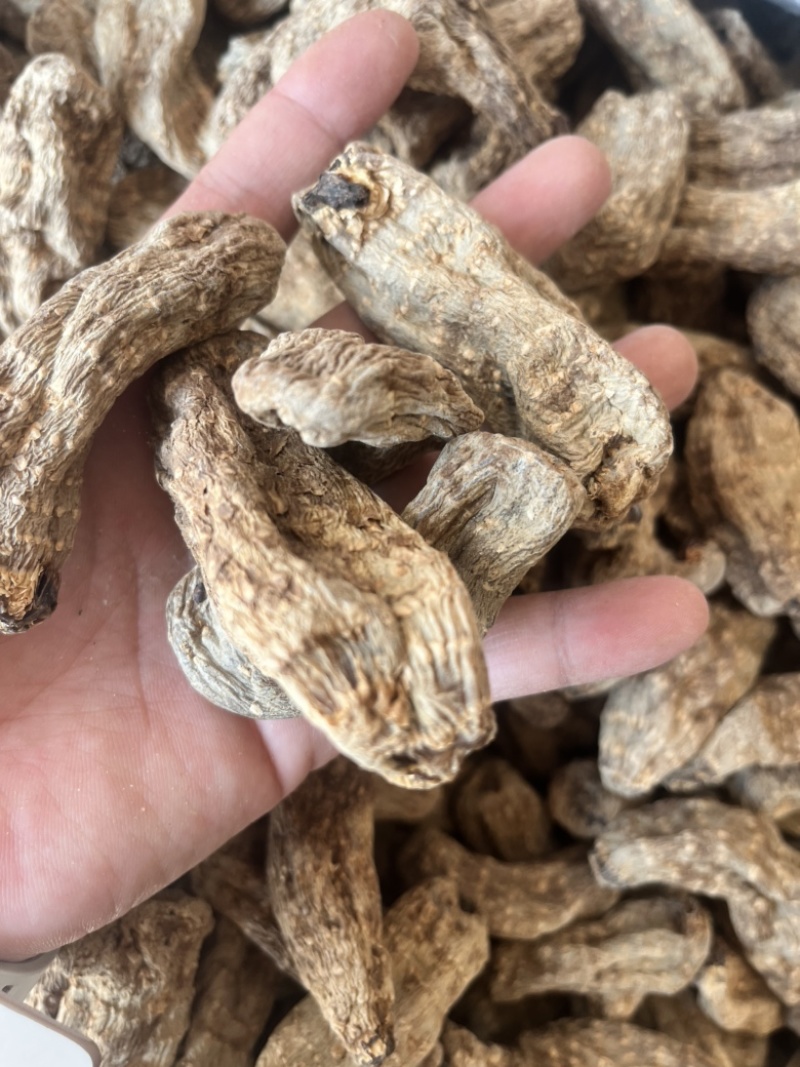 昭通天麻昭通乌天麻20个乌天麻足干味浓