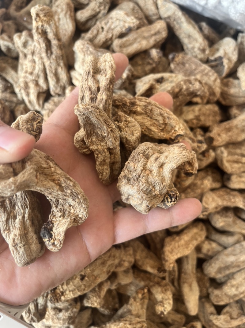 昭通天麻昭通乌天麻20个乌天麻足干味浓