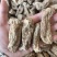 昭通天麻昭通乌天麻20个乌天麻足干味浓