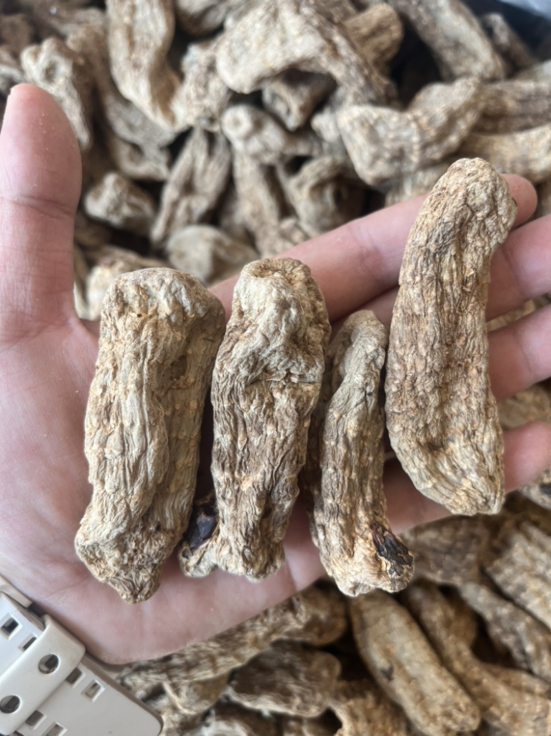 昭通天麻昭通乌天麻20个乌天麻足干味浓