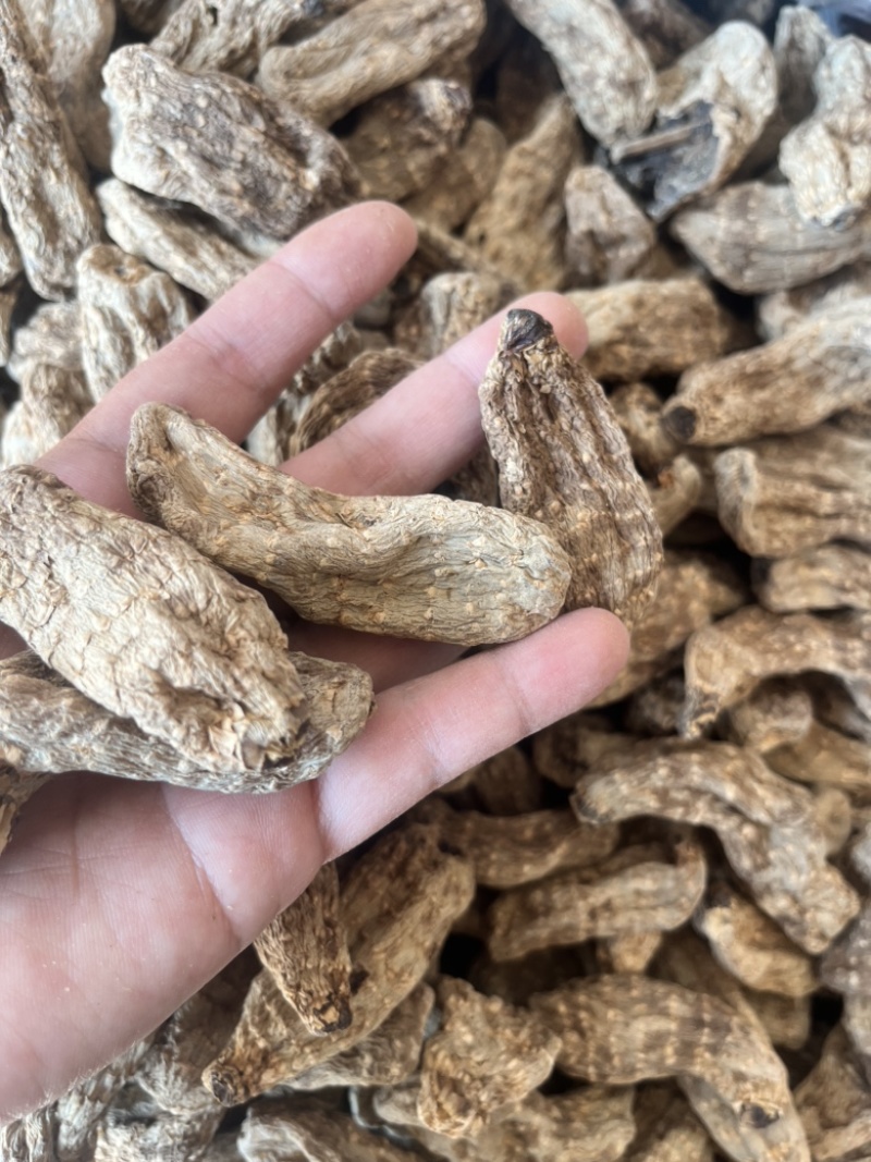 昭通天麻昭通乌天麻20个乌天麻足干味浓