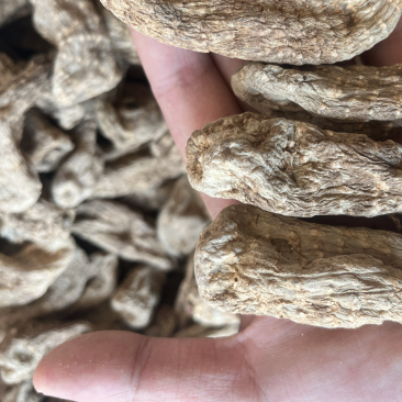 昭通天麻昭通乌天麻20个乌天麻足干味浓