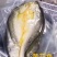 湛江一夜埕黄花鱼，约450克/条