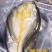 湛江一夜埕黄花鱼，约450克/条