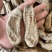昭通天麻昭通乌天麻15个一斤乌天麻防野生足干足头