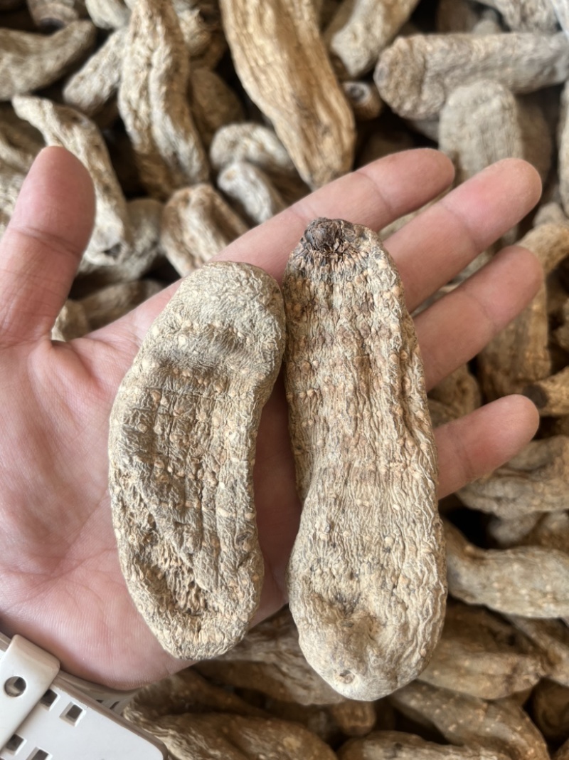 昭通天麻昭通乌天麻15个一斤乌天麻防野生足干足头