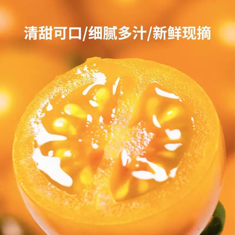黄色圣女果，产地一手货源，对接商超市场大型批发商，欢迎来