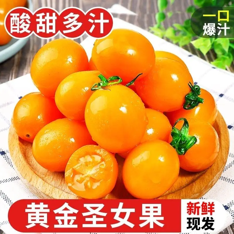 黄色圣女果，产地一手货源，对接商超市场大型批发商，欢迎来
