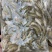 干货山坑鱼冻品批发，产地直销，大量合作洽谈