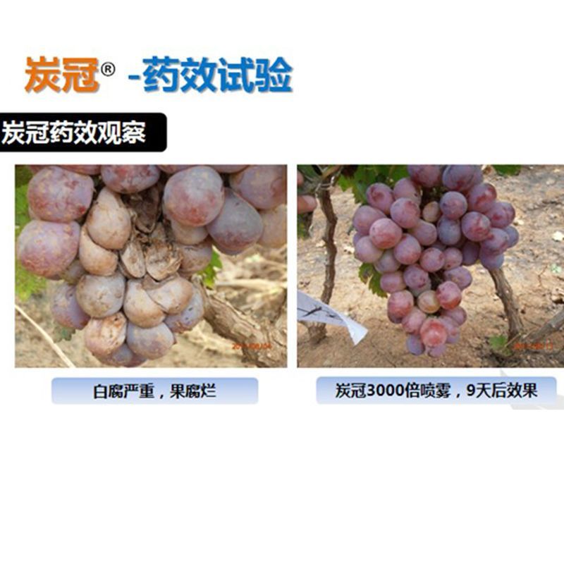 正品炭冠老牌子45咪鲜胺香蕉炭疽病杀菌剂新农大瓶装福建产