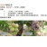 正品炭冠老牌子45咪鲜胺香蕉炭疽病杀菌剂新农大瓶装福建产