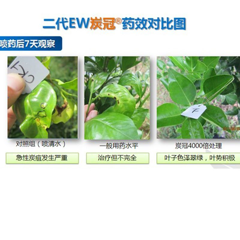 正品炭冠老牌子45咪鲜胺香蕉炭疽病杀菌剂新农大瓶装福建产