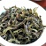 黄旦茶叶乌龙茶大坪土山茶潮汕茶高山茶叶惠来八仙茶黄旦茶叶