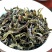 黄旦茶叶乌龙茶大坪土山茶潮汕茶高山茶叶惠来八仙茶黄旦茶叶