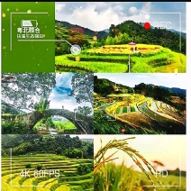 韶关仁化“鸭稻共作”，以全产业链式做强品牌