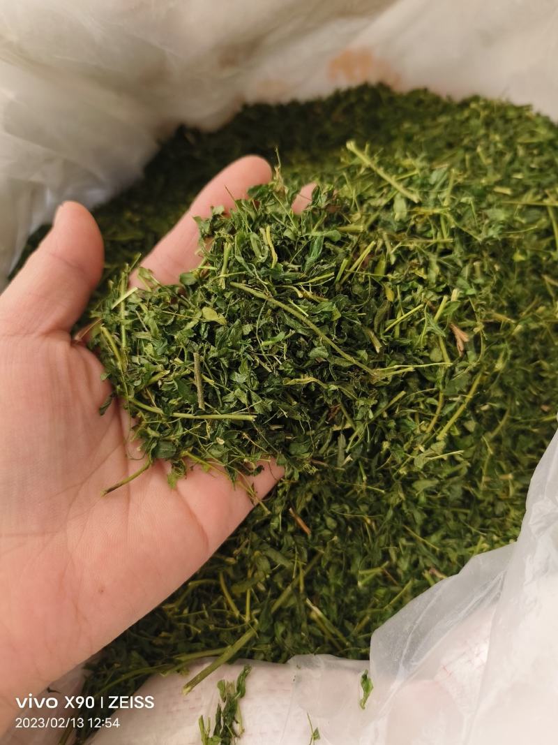 中药材相思叶相思茶新货颜色漂亮保证质量