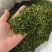 中药材相思叶相思茶新货颜色漂亮保证质量