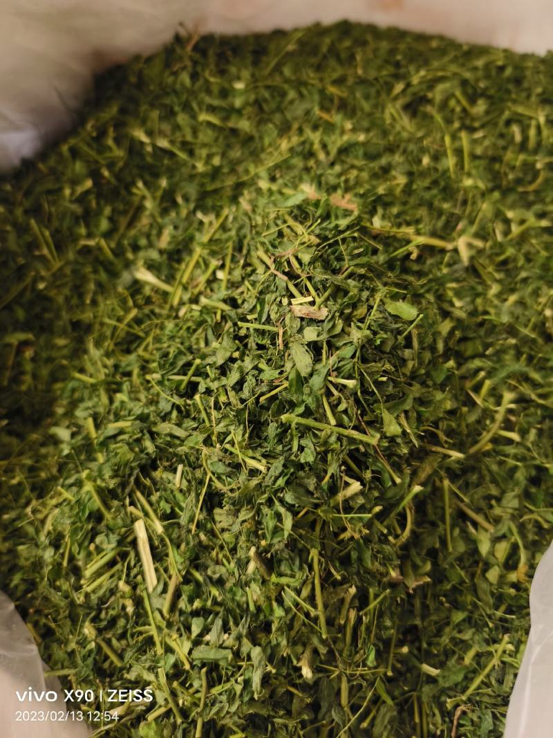 中药材相思叶相思茶新货颜色漂亮保证质量
