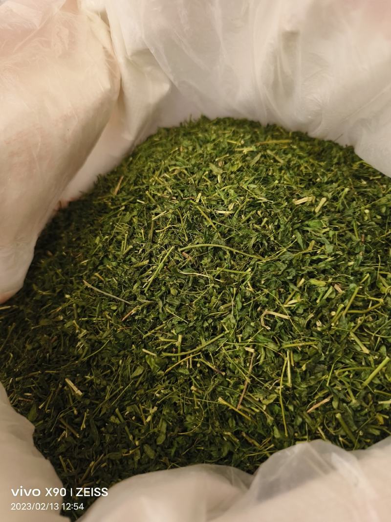 中药材相思叶相思茶新货颜色漂亮保证质量