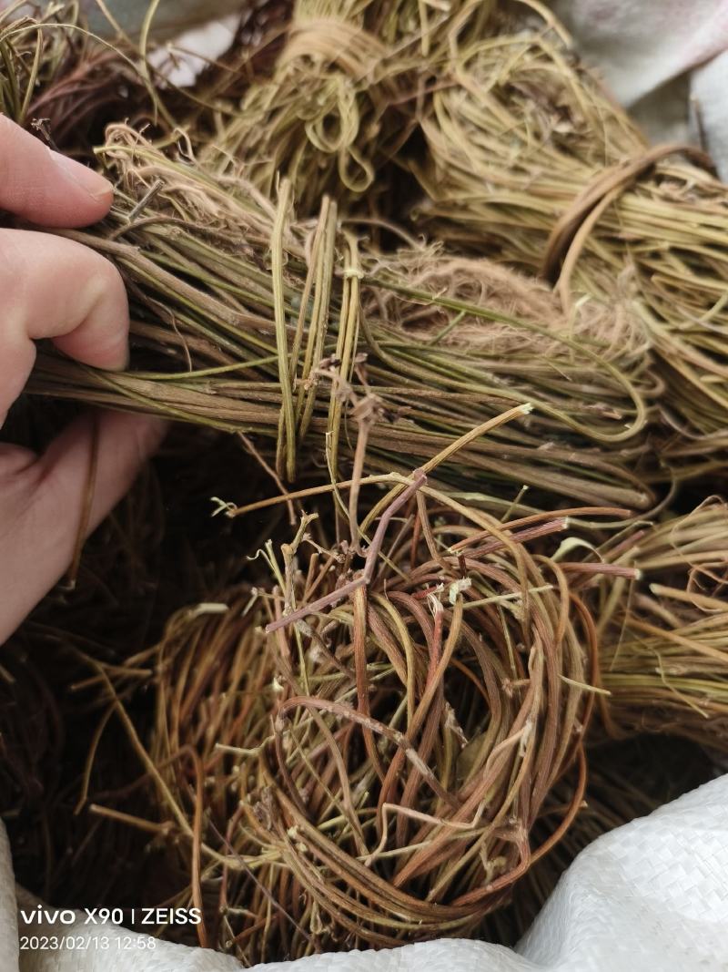 中药材鸡骨草新货保证质量量大优惠