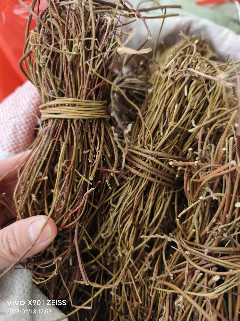 中药材鸡骨草新货保证质量量大优惠