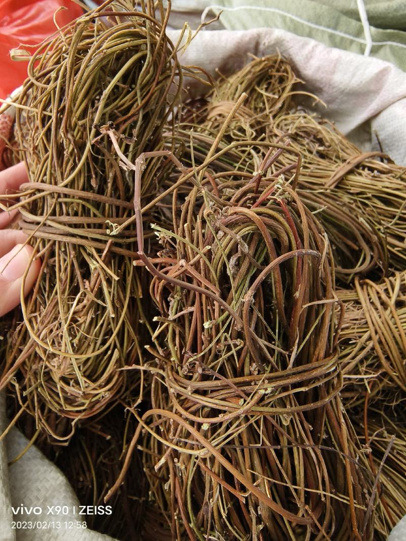 中药材鸡骨草新货保证质量量大优惠