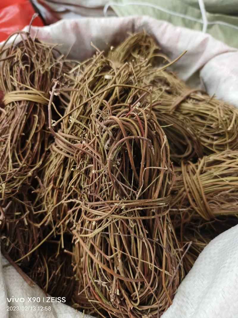 中药材鸡骨草新货保证质量量大优惠