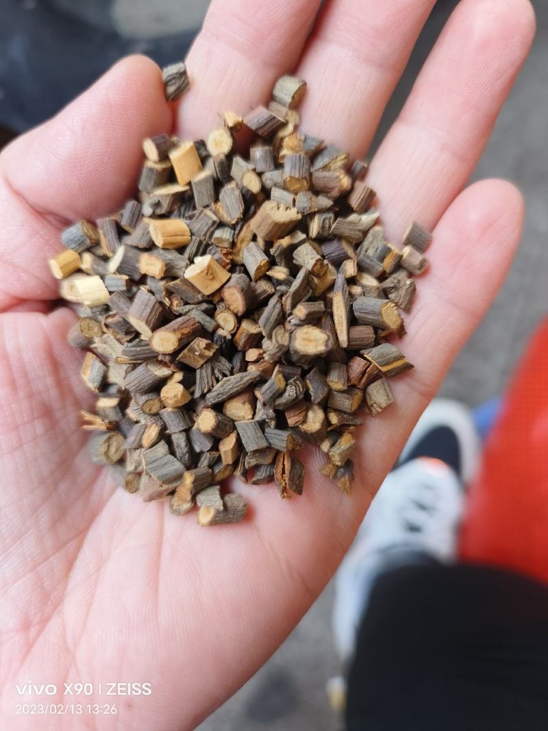 中药材桂枝桂枝尖味道浓郁保证质量支持视频看货代发