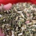中药材益母草新货颜色漂亮量大优惠