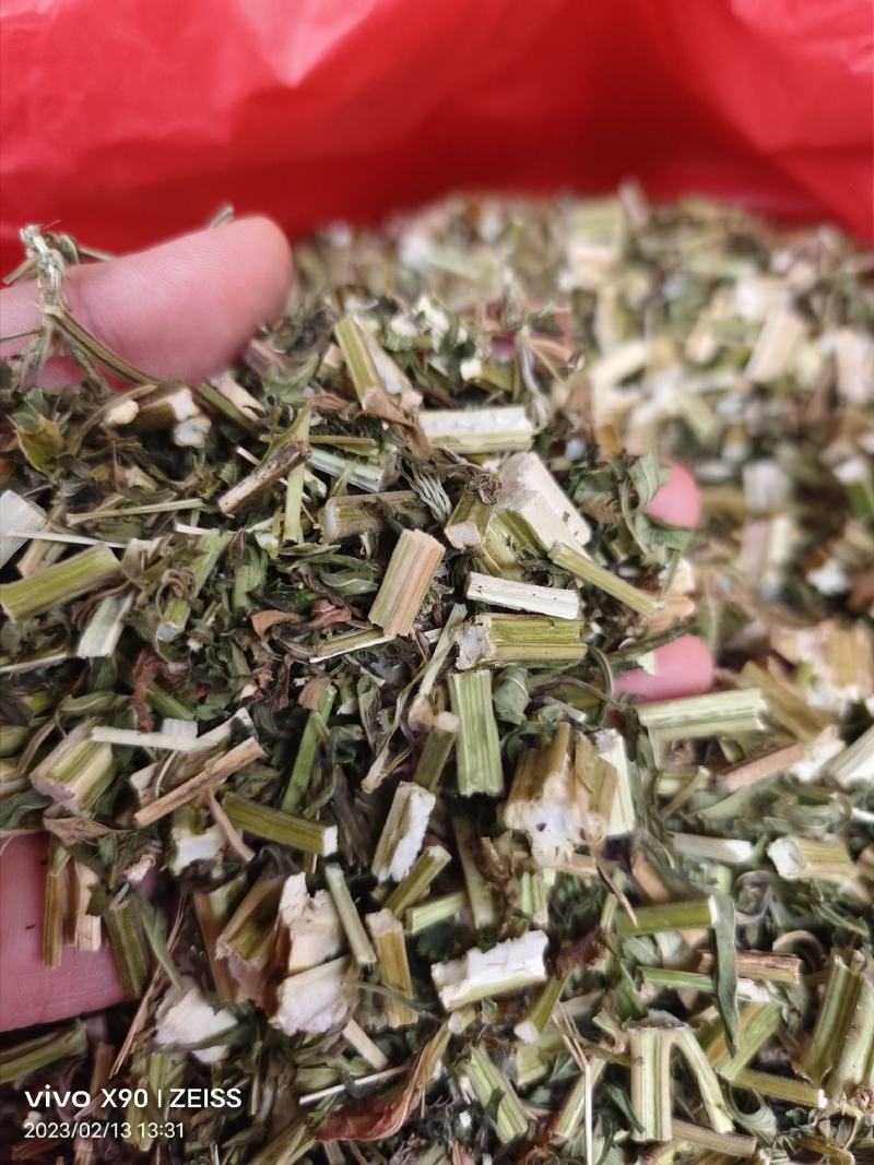 中药材益母草新货颜色漂亮量大优惠