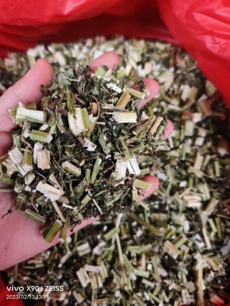 中药材益母草新货颜色漂亮量大优惠